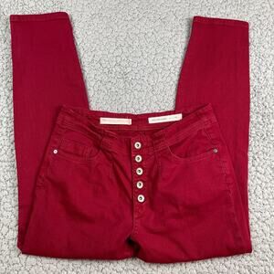 Pilcro and the Letterpress Anthropologie High Rise Skinny Button Fly Pants 29